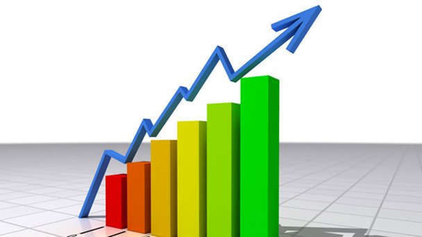 crecimiento orgánico