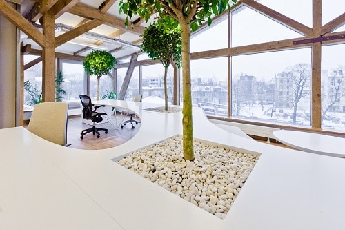 estudio de interiorismo